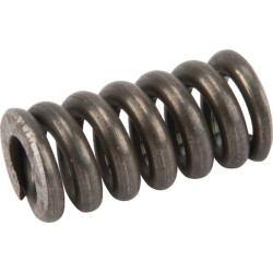 Spyruoklė 180–350 barų SD 16/25 SD916VP104