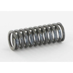 1 spyruoklė, balta, 0–40 barų, VMPK10 SD911V01