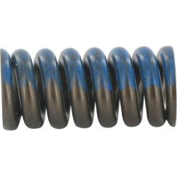 3 spyruoklė, VMPK20, 50–220 barų, mėlyna SD918V03