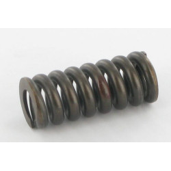 Spyruoklė 4 ruda 180-320 bar VMPY 5 SD96V24