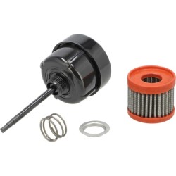 Case - IH 440 3145873R92GV filtras