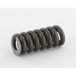 Spyruoklė 3 - 50 - 220 BAR SD95V03