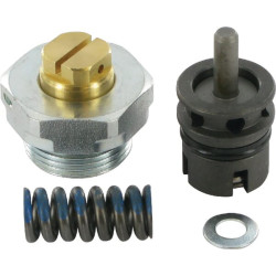 Apsauginis nuo smūgio / kavitacijos vožtuvas SDS150 U(G3--100) 100–250 barų SDS9150VU1