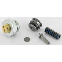 Apsauginis vožtuvas P(G3--100) SDS150 63-200 bar SDS9150VP1