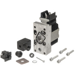 Magnetas PVEM 11-32 V pralaidus DIN 1x4 PVG3211166829