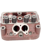 Variklio galvos ir skirstomojo veleno sistemos