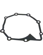 Vandens pompų sandariklių ir tarpiklių komplektai