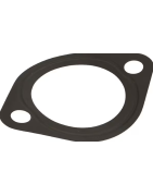 Termostato tarpinės