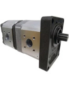 Dvigubi Splined pavarų siurbliai