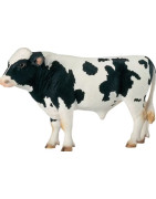 Galvijų gyvulininkystės įranga