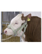 Laikymo ir surišimo priemonės