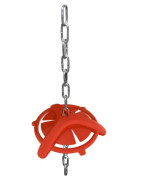 Agresijos prevencija Kiaulėms