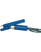 Paršelių priėmimas ir auginimas