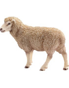 Avių gyvulininkystės įranga