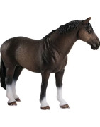 Arklių gyvulininkystės įranga