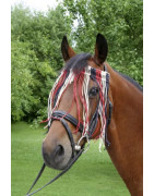 Arklių priežiūra nuo erkių