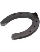 Arklių kanopų priežiūra