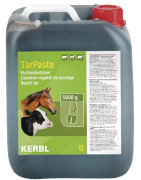 Arklių kanopų priežiųra ir gydimas