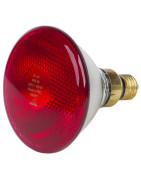 Infraraudonųjų spindulių lemputės