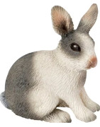 Triušių gyvulininkystės įranga