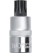 1-2 colio tx galvutės