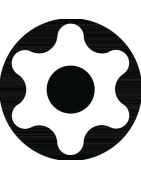 Įleidžiami TX atsuktuvai