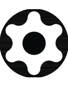 TX įleidžiami atsuktuvų antgaliukai