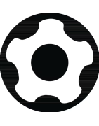 TX plus IPR įleidžiami atsuktuvų antgaliukai