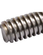 Trapecinio sriegio forma