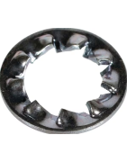 DIN 6798J dantyta fiksavimo poveržlė su vidiniais dantimis