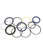 Sandariklių (Riebokšlių) rinkiniai