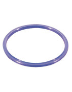 Priedai žarnų jungtims