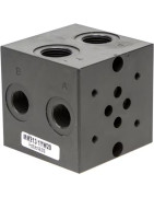 Pagrindinės (montavimo) plokštės