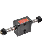 Ištekėjimo sekcijos