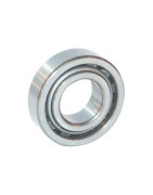 Cilindriniai ritininiai guoliai