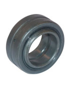 Sferiniai paprastieji guoliai