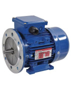 Ant kojelių ir flanšo montuojamas B3-B5