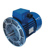 Montuojami ant flanšo