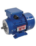 Mažo flanšo - ant kojelių montuojamas B3-B14