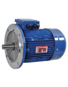 Ant flanšo montuojamas B5