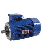 Ant mažo flanšo montuojamas B14