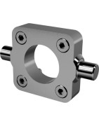 Centrinė tvirtinimo ašis