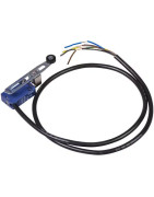 Valdomi ritinine svirtimi