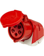 CEE standarto jungtys