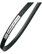 Standartiniai trapeciniai diržai (A, B, C, D, E, Z, AX, BX, CX, ZX, 5, 6, 8, AVX10, AVX13)