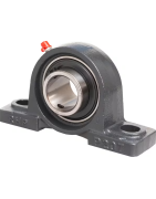 Atraminiai (Pagalvės) guolių mazgai